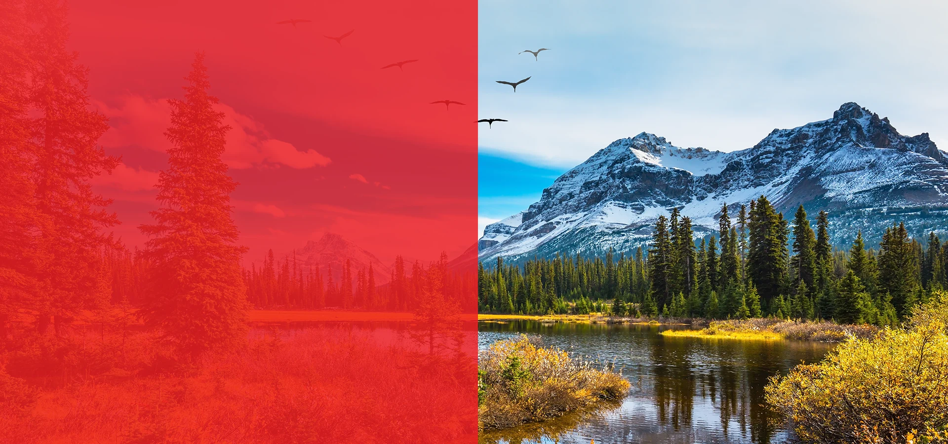 Canada unveiled: nature and culture