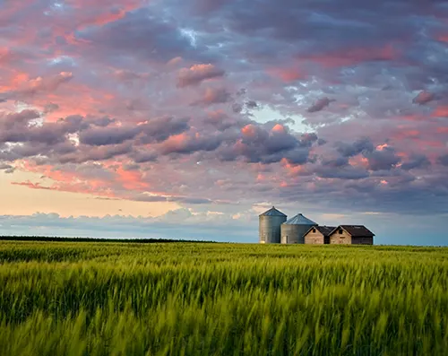 Prairies rolling under big skies